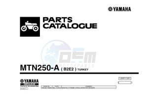 MT-25 MTN250-A (B2E2) drawing Infopage-1