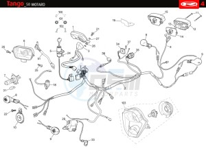 TANGO-50-MOTARD-WHITE drawing ELECTRICAL