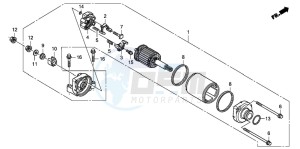 CBF600N drawing STARTING MOTOR (CBF600S8/SA8/N8/NA8)