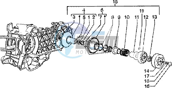 Driven pulley