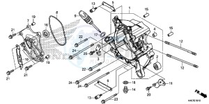 NSS125DF Forza 125 - NSS125D Europe Direct - (ED) drawing RIGHT CRANKCASE