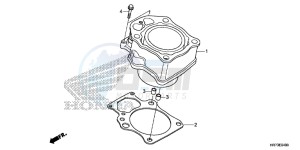 TRX420FA5F TRX420F Europe Direct - (ED) drawing CYLINDER