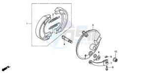 CRF100F drawing FRONT BRAKE PANEL