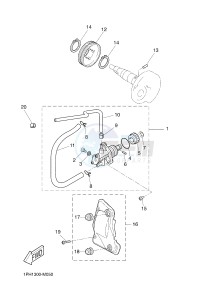 NS50N NITRO NAKED (1PL2 1PL2) drawing OIL PUMP