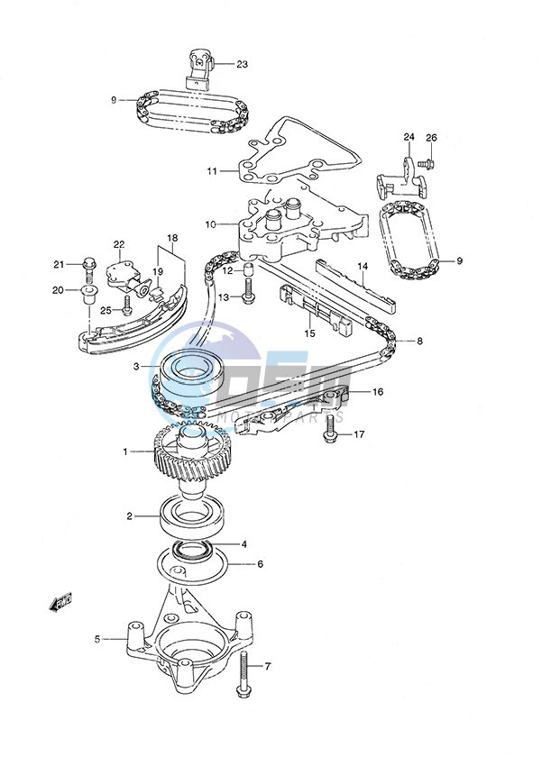 Timing Chain