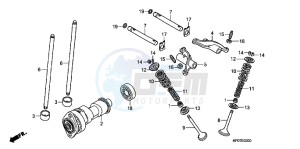 TRX500FPMB drawing CAMSHAFT