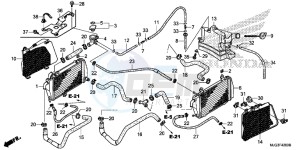 GL1800BD F6B Bagger - GL1800BD UK - (E) drawing RADIATOR