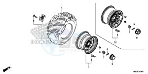 TRX500FA6F TRX500FA ED drawing REAR WHEEL