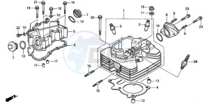 TRX250TE FOURTRAX RECON ES drawing CYLINDER HEAD