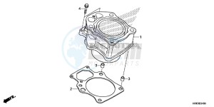 TRX500FA5G TRX500FA Europe Direct - (ED) drawing CYLINDER