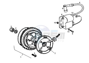 GPR R - 50 cc drawing FLYWHEEL