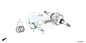 NSC50WHC drawing CRANKSHAFT/PISTON