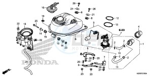 MSX125D MSX125 UK - (E) drawing FUEL TANK