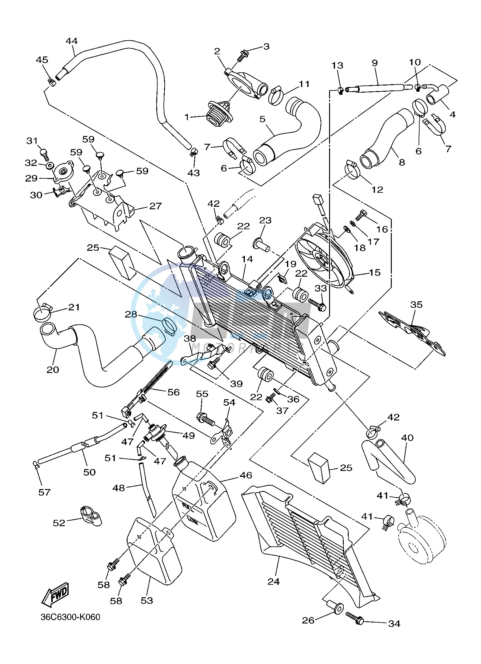 RADIATOR & HOSE