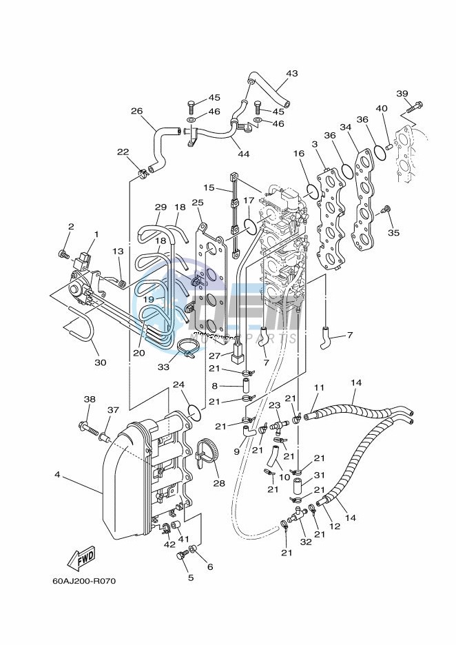 INTAKE