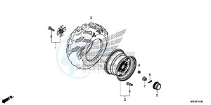 TRX500FM6F TRX500FM Australia - (U) drawing REAR WHEEL