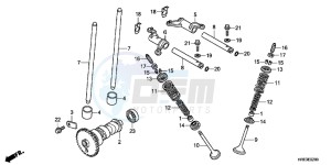 TRX500FPEC drawing CAMSHAFT/ VALVE