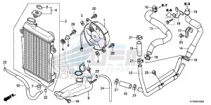 SH300AD SH300i E drawing RADIATOR