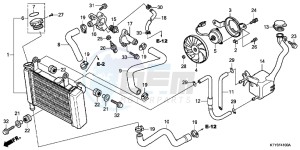 CBR125RSC drawing RADIATOR