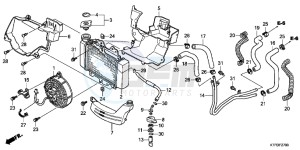 SH125RB drawing RADIATOR