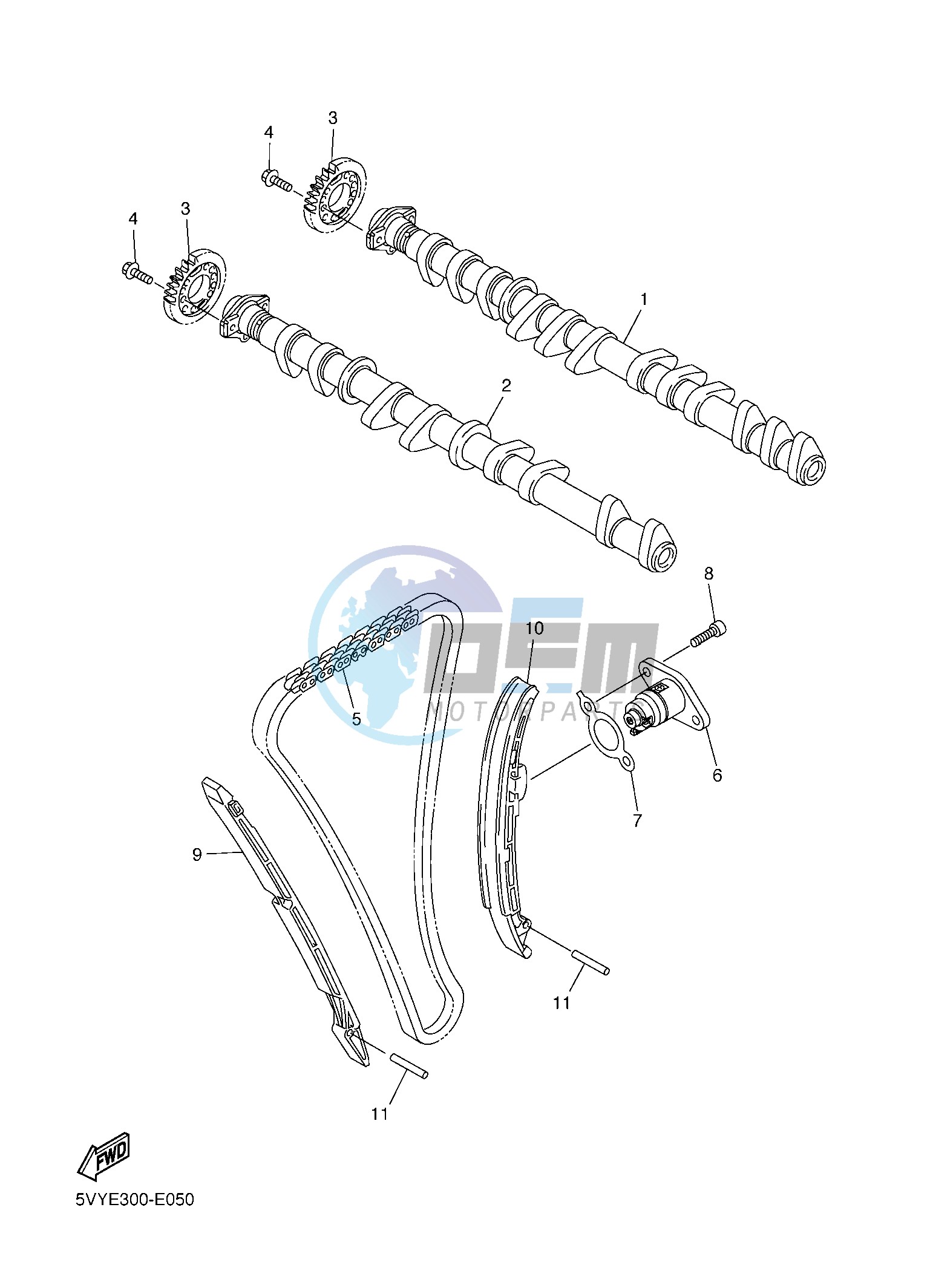 CAMSHAFT & CHAIN