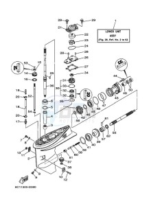 F50TLR drawing LOWER-CASING-x-DRIVE-1