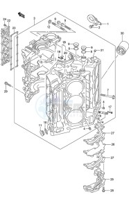 DF 300AP drawing Cylinder Block