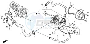 CB900F CB900F drawing WATER PUMP