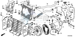 TRX420FA1E TRX420 Europe Direct - (ED) drawing RADIATOR