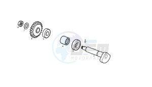 GPR REPLICA MALOSSI - 50 CC VTHGR1D1A 2T MALOSSI drawing CRANK BALANCER