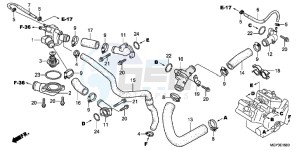 VFR800XD CrossRunner - VFR800X UK - (E) drawing WATER HOSE