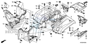 TRX420FM2E TRX420 Europe Direct - (ED) drawing REAR FENDER