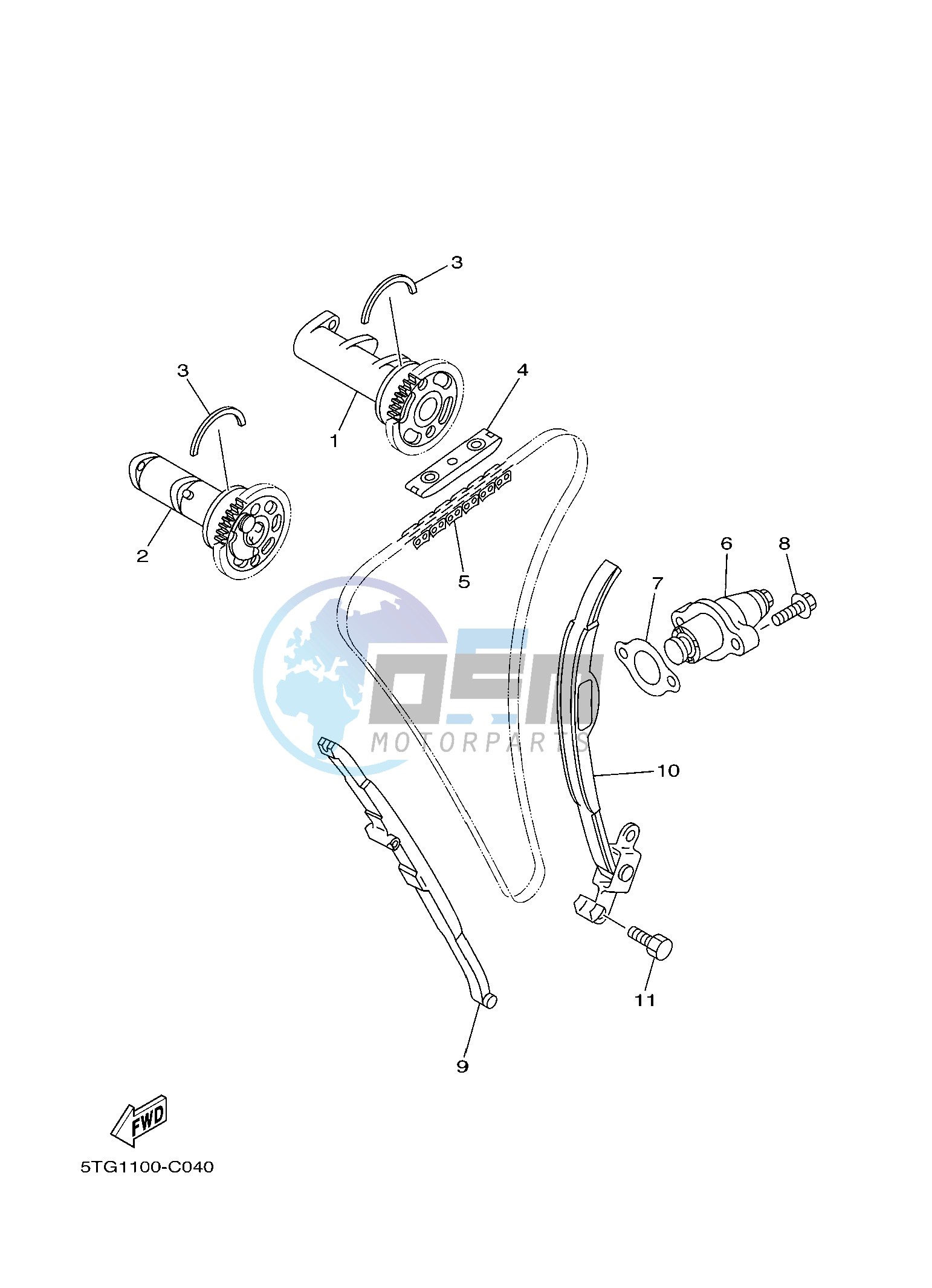 CAMSHAFT & CHAIN