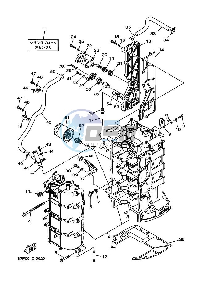 CYLINDER--CRANKCASE-1