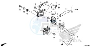 NSS300D Forza - NSS300D UK - (E) drawing AIR INJECTION SOLENOID VALVE