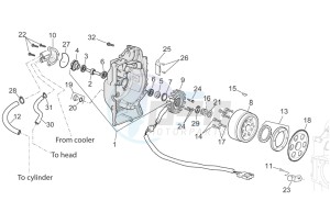 Scarabeo 300 Light e3 drawing Ignition unit