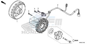 TRX500FM2G TRX500FM Europe Direct - (ED) drawing GENERATOR