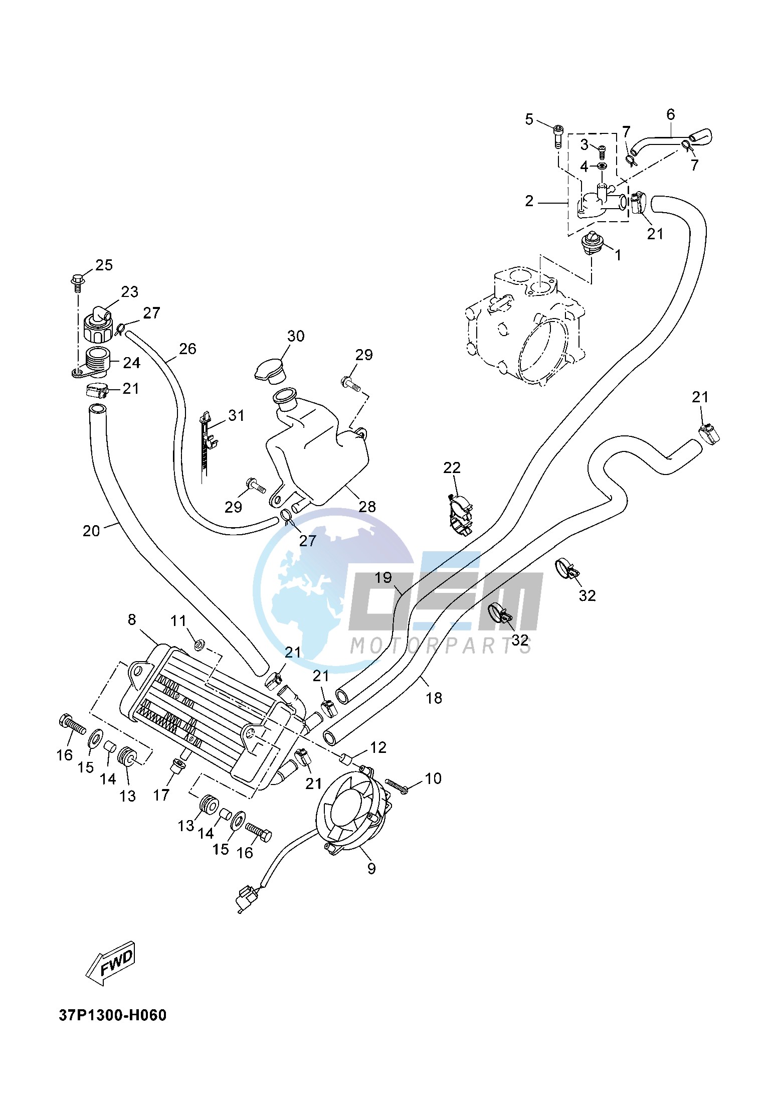 RADIATOR & HOSE