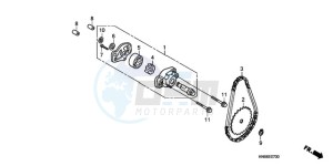 TRX250X9 Australia - (U) drawing OIL PUMP