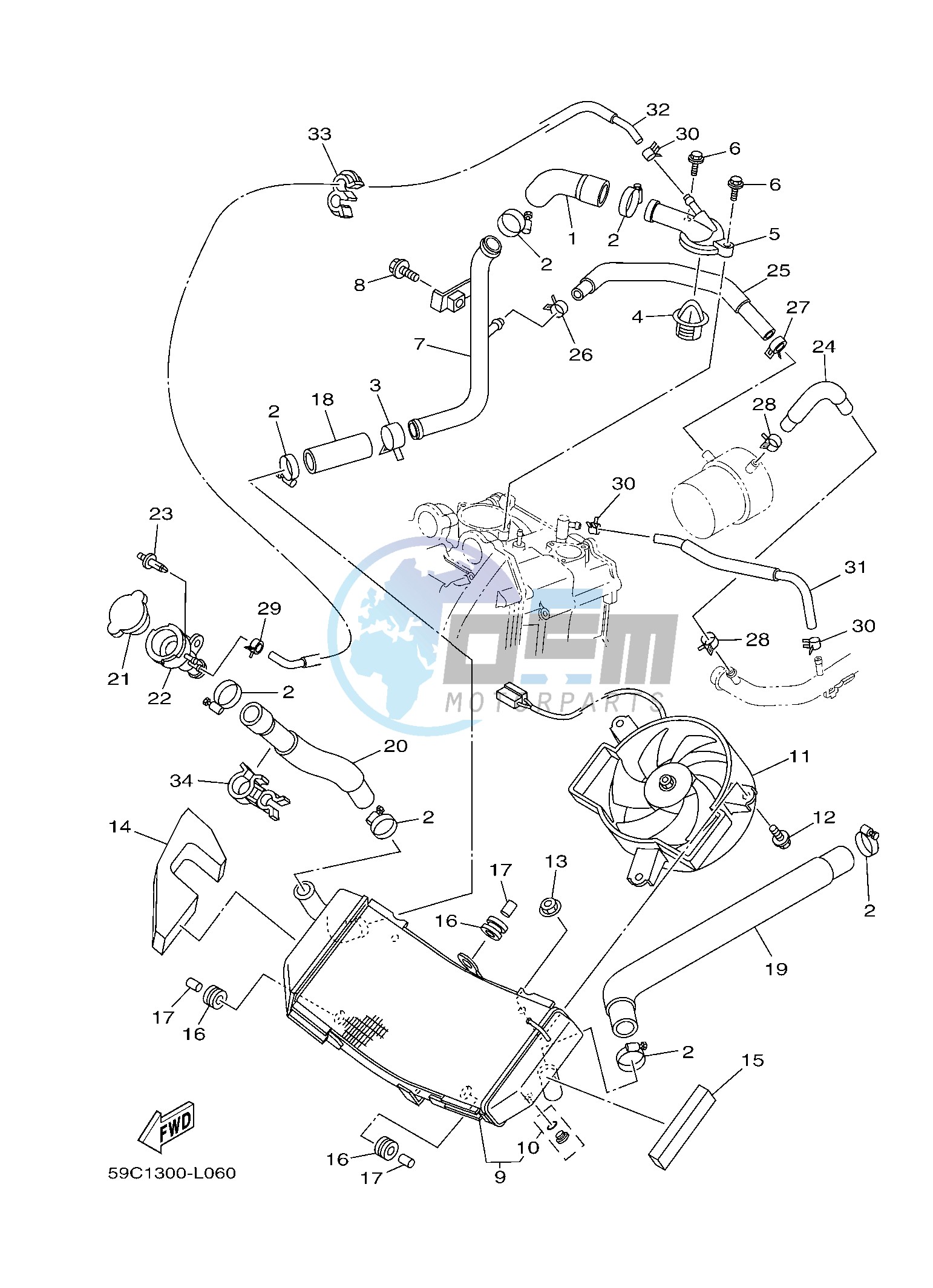 RADIATOR & HOSE