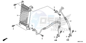 TRX680FAE TRX680 Europe Direct - (ED) drawing OIL COOLER