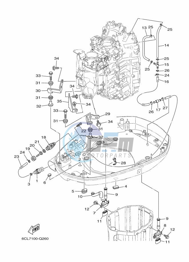 BOTTOM-COVER-2