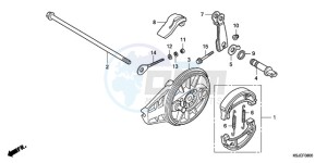 CRF80F9 Australia - (U) drawing REAR BRAKE PANEL