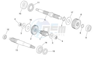 Leonardo 250-300 (eng. Minarelli) drawing Transmission