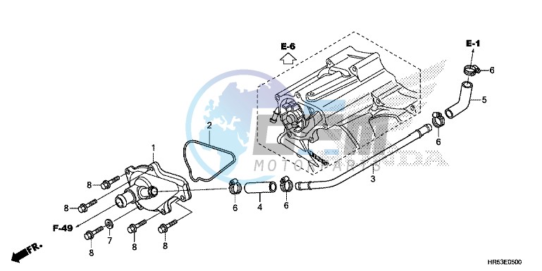 WATER PUMP COVER