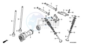 TRX500FE9 Australia - (U) drawing CAMSHAFT