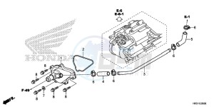 TRX420FM2H Europe Direct - (ED) drawing WATER PUMP COVER