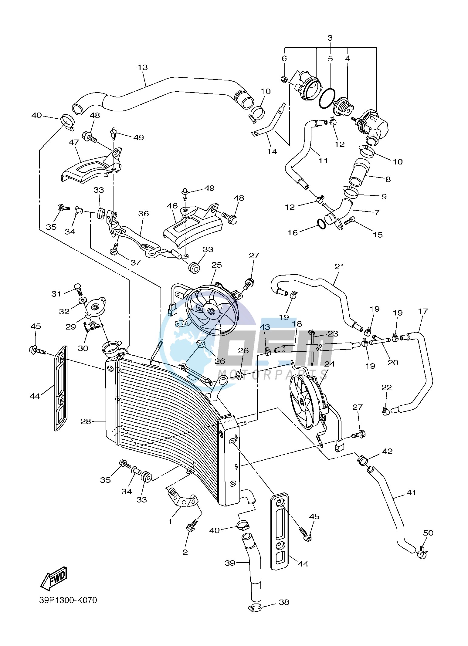 RADIATOR & HOSE