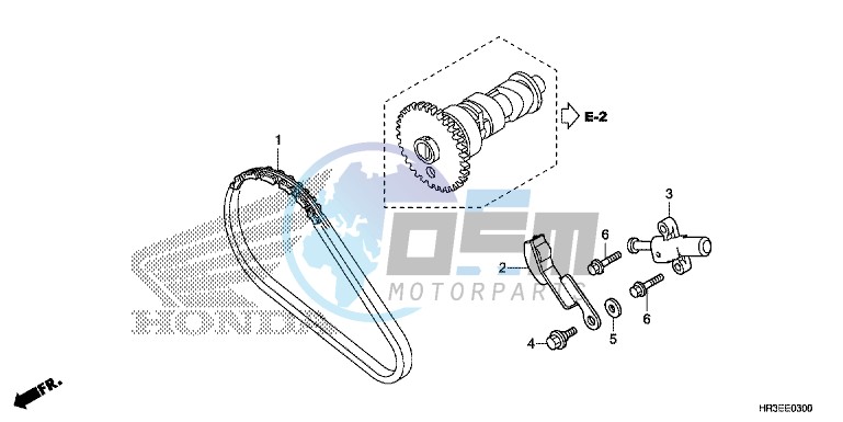 CAM CHAIN/TENSIONER