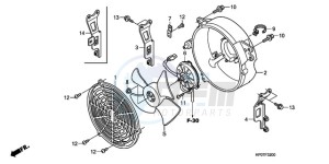 TRX500FEA Australia - (U / EC) drawing COOLING FAN